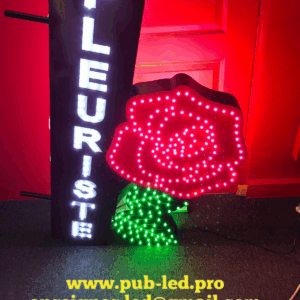 ENSEIGNE LUMINEUSE LED “FLEURISTE” DOUBLE FACES EXTERNE PRÊT À INSTALLER AVEC ANIMATION ET TÉLÉCOMMANDE 100x70cm