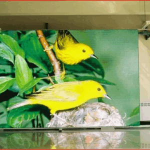 LED ÉCRAN EXTERNE P8 ÉTANCHE PUBLICITAIRE PROGRAMMABLE TRÈS HAUTE LUMINOSITÉ VISIBLE EN PLEIN SOLEIL, 100x100 cm