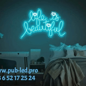 ENSEIGNE LUMINEUSE NÉON FLEX PERSONNALISÉE, TAILLE ET DESIGN PERSONNALISÉS 55 ET 80 CM